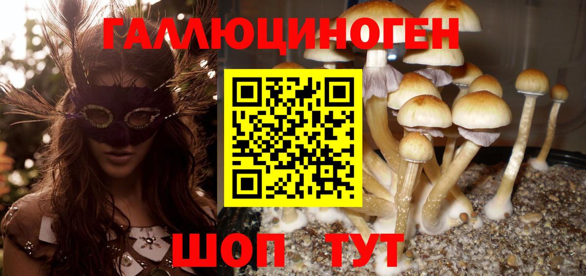 Галлюциногенные грибы Psilocybine cubensis Елизово