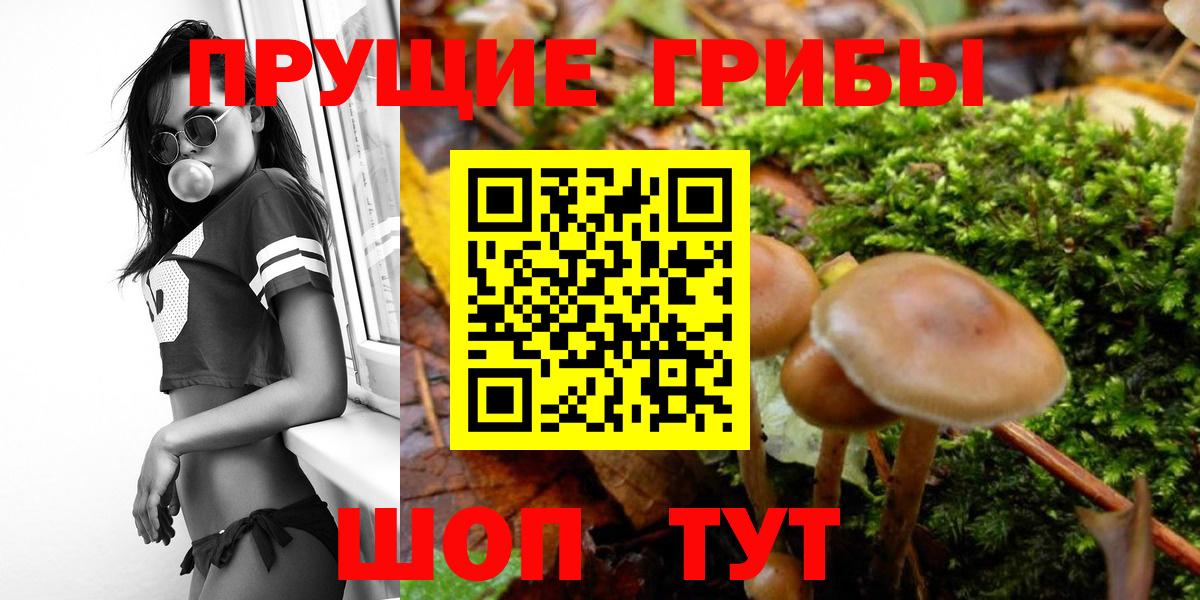 Елизово  цены   Вход с VPN  Галлюциногенные грибы MAGIC MUSHROOMS  Псилоцибиновые грибы ЛСД 
