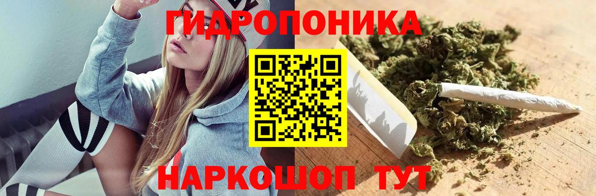 Бошки марихуана конопля Елизово